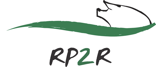 RP2R