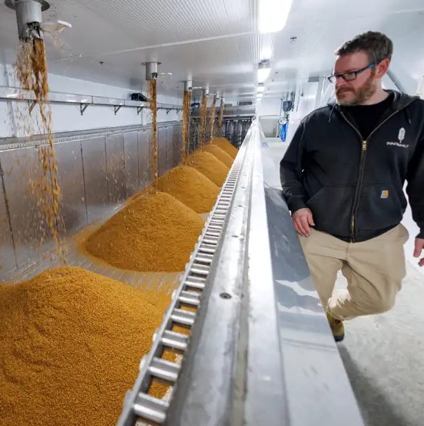 Boire québécois à la santé de… l’environnement